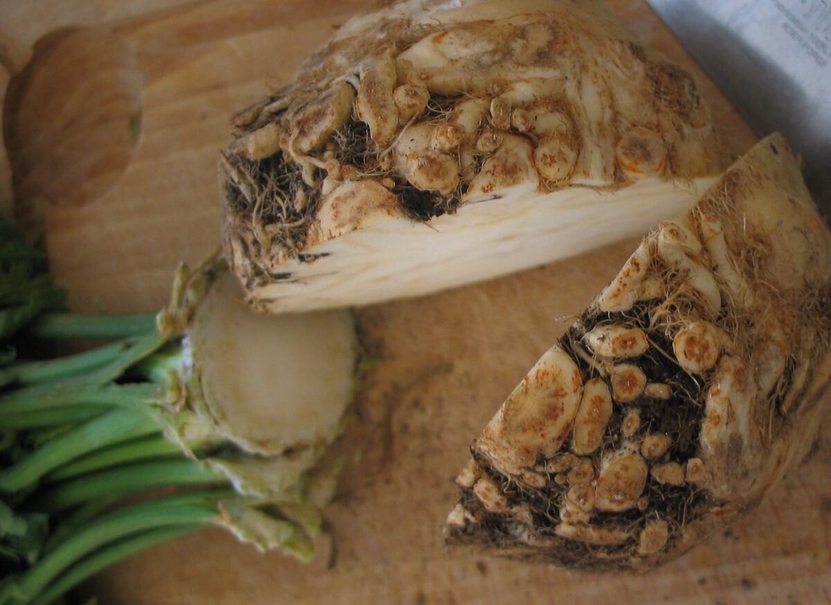 try a new vegetable: celeriac